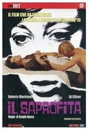 公日日躁我和公乱口述