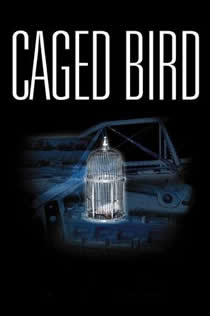 公不要添了下面流水啦